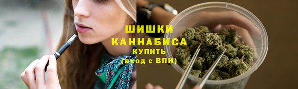 spice Пересвет