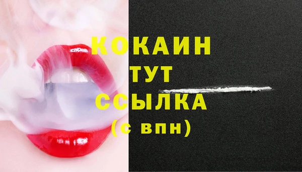 spice Пересвет
