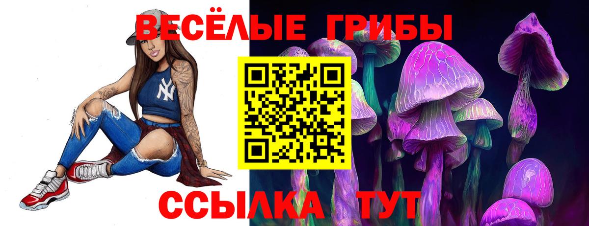 Псилоцибиновые грибы Psilocybine cubensis Сатка