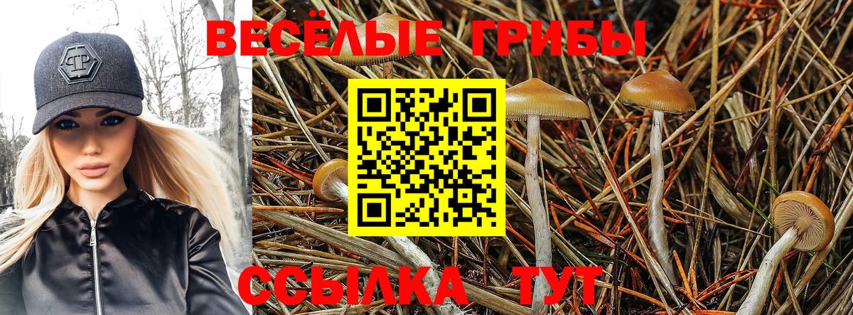 Мефедрон   Сатка  ГАШ  Вход с VPN  Кокаин  ГАШ  Конопля 
